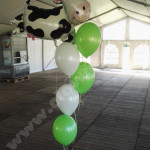 heliumballonnen-44.jpg